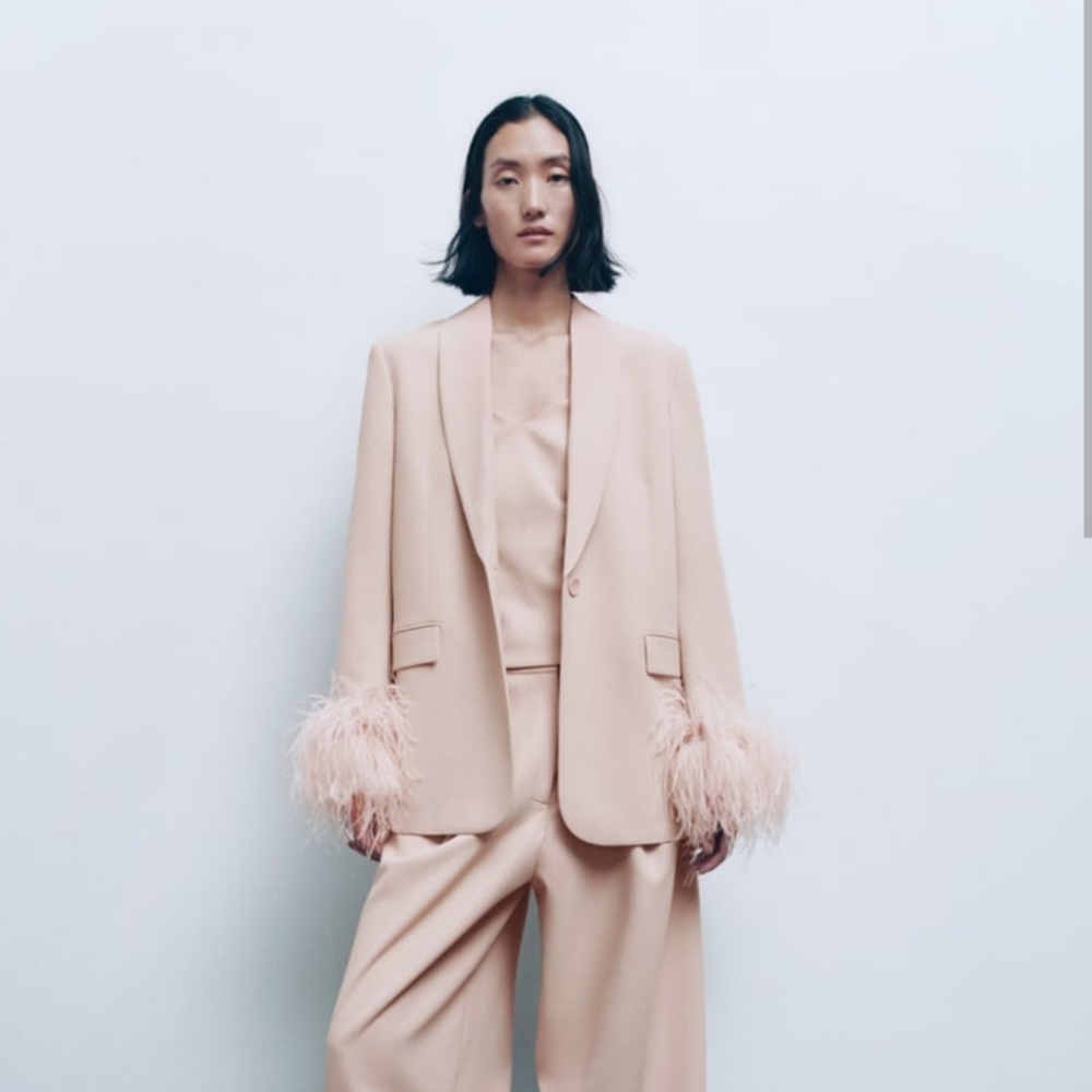 Beautiful sold out Zara NWT straight cut Feather blazer beige pink.